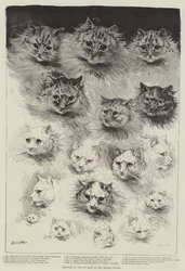 Sketches of the Cat Show at the Crystal Palace